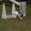 foire-haricots 2011-09-17et18